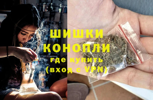 PSILOCYBIN Алзамай
