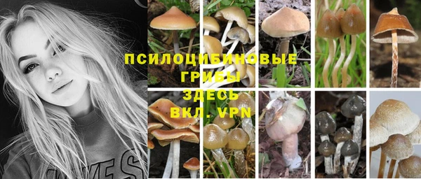 молекула духа Алексеевка