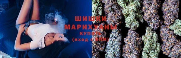 PSILOCYBIN Алзамай