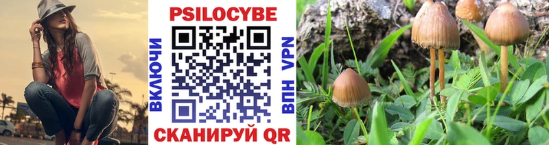 MEGA сайт  Нижние Серги  Псилоцибиновые грибы GOLDEN TEACHER 
